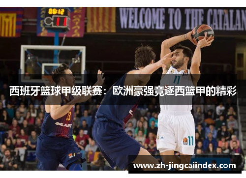西班牙篮球甲级联赛：欧洲豪强竞逐西篮甲的精彩